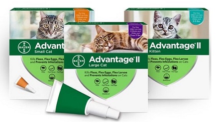 Bayer advantage outlet ii for cats