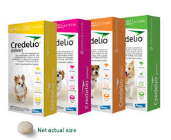 Credelio Chewable Tablet Dog